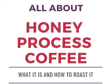 All about Honey Process Coffee